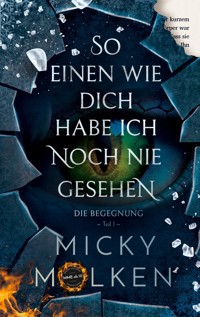 So einen wie dich habe ich noch nie gesehen - Micky Molken - E-Book