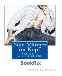 Nur Männer im Kopf - Andre Le Bierre - E-Book