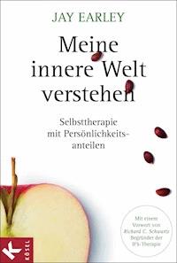 Meine innere Welt verstehen - Jay Earley - E-Book