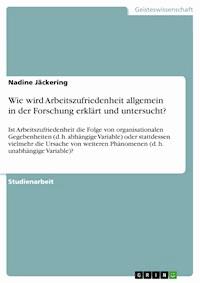 Wie wird Arbeitszufriedenheit allgemein in der Forschung erklärt und untersucht? - Nadine Jäckering - E-Book