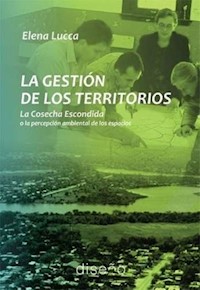 La gestión de los territorios - Elena Lucca - E-Book
