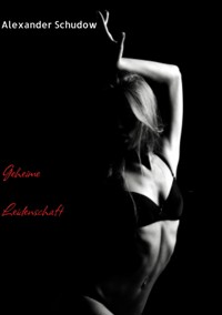 Geheime Leidenschaft - Alexander Schudow - E-Book