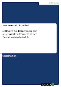 Software zur Berechnung von ausgewählten Formeln in der Betriebswirtschaftslehre - Jens Henschel - kostenlos E-Book