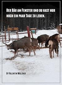 DER BÄR AM FENSTER UND DU HAST NUR NOCH EIN PAAR TAGE ZU LEBEN - VALENTIN WALLNER - E-Book