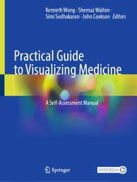 Practical Guide to Visualizing Medicine -  - E-Book