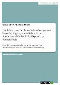 Die Förderung der beruflichen Integration benachteiligter Jugendlicher in der Sonderberufsfachschule. Exposé zur Masterarbeit - Klaus Ebert - E-Book