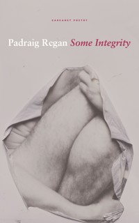 Some Integrity - Padraig Regan - E-Book