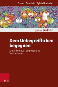 Dem Unbegreiflichen begegnen - Eduard Zwierlein - E-Book