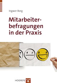 Mitarbeiterbefragungen in der Praxis - Ingwer Borg - E-Book