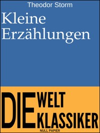 Kleine Erzählungen - Theodor Storm - E-Book