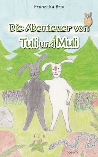 Die Abenteuer von Tuli und Muli - Franziska Brix - E-Book