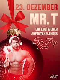 23. Dezember: Mr. T  – ein erotischer Adventskalender - Sir Jay Cox - E-Book