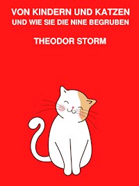 Von Kindern und Katzen und wie sie die Nine begruben - Theodor Storm - E-Book