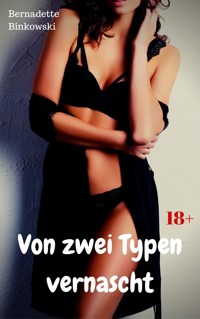 Von zwei Typen vernascht - Bernadette Binkowski - E-Book