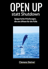 OPEN UP statt Shutdown - Clemens Steiner - E-Book