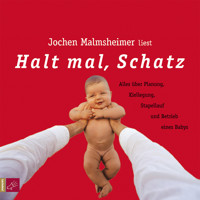 Halt mal, Schatz - Jochen Malmsheimer - Hörbuch