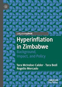 Hyperinflation in Zimbabwe - Tara McIndoe-Calder - E-Book