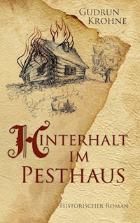 Hinterhalt im Pesthaus - Gudrun Krohne - E-Book