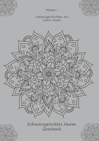 Haremsgeschichten aus 1001 Nacht - Master I - E-Book