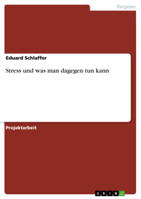 Stress und was man dagegen tun kann - Eduard Schlaffer - E-Book