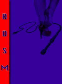 Erotic Stories BDSM Volume 1. In English. - Otmar Trierweiler - E-Book