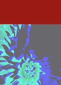 Römerfund - harald hohensinner - E-Book