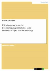 Kündigungsschutz als Beschäftigungshemmnis? Eine Problemanalyse und Bewertung - David Geiseler - E-Book