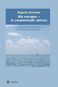 Bis morgen - in zweieinhalb Jahren - Regula Gurtner - E-Book