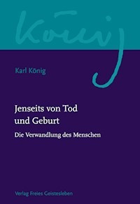 Jenseits von Tod und Geburt - Karl König - E-Book
