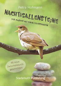 Nachtigallensteine - Petra Hofmann - E-Book