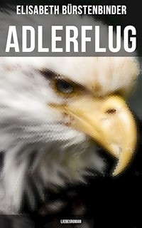 Adlerflug: Liebesroman - Elisabeth Bürstenbinder - E-Book