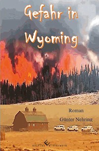 Gefahr in Wyoming - Günter Nehring - E-Book