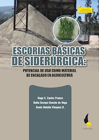 Escorias básicas de Siderúrgica: - Hugo E. Castro Franco - E-Book