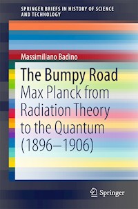 The Bumpy Road - Massimiliano Badino - E-Book