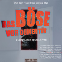 Das Böse vor deiner Tür - Iver Niklas Schwarz - Hörbuch