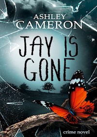 Jay Is Gone - Ashley Cameron - E-Book