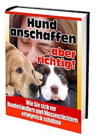 Hund anschaffen ... aber richtig - Ruediger Kuettner-Kuehn - E-Book