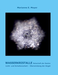 Wasserkristalle Botschaft der Seelen - Marianne Meyer - E-Book