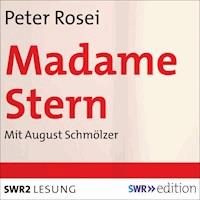Madame Stern - Peter Rosei - Hörbuch