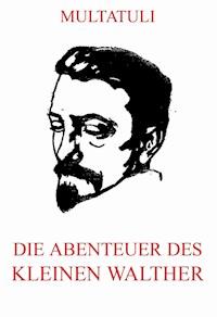 Die Abenteuer des kleinen Walther - Multatuli - E-Book