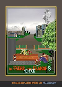 In Feuer und Flamme - Teil 3 - Mirko Jupp Eisemann - E-Book