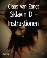 Sklavin D - Instruktionen - Claas van Zandt - E-Book