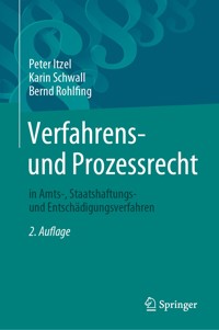 Verfahrens- und Prozessrecht in Amts-, Staatshaftungs- und Entschädigungsverfahren - Peter Itzel - E-Book