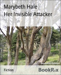 Her Invisible Attacker - Marybeth Hale - E-Book