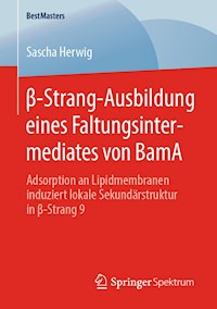β-Strang-Ausbildung eines Faltungsintermediates von BamA - Sascha Herwig - E-Book
