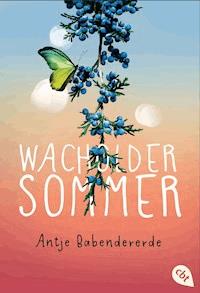 Wacholdersommer - Antje Babendererde - E-Book