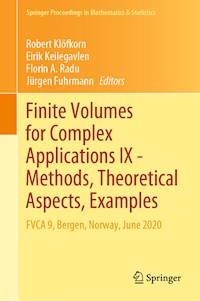 Finite Volumes for Complex Applications IX - Methods, Theoretical Aspects, Examples - - E-Book