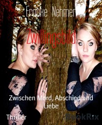 Zwillingsbild - Frauke Nehmer - E-Book