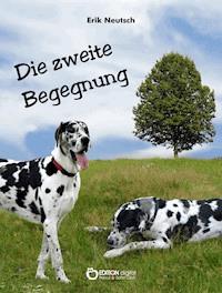 Die zweite Begegnung - Erik Neutsch - E-Book