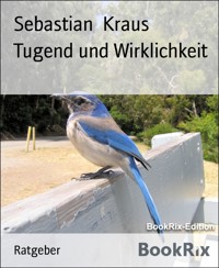 Tugend und Wirklichkeit - Kraus Sebastian - E-Book